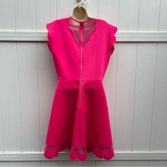 Ted Baker Sharlot Fit & Flare Pink Cap Sleeve Mesh Panel Dress | Size Medium - Picture 11 of 16